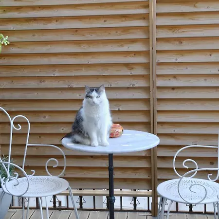 فندق Du Commerce بو سانت إيستبري