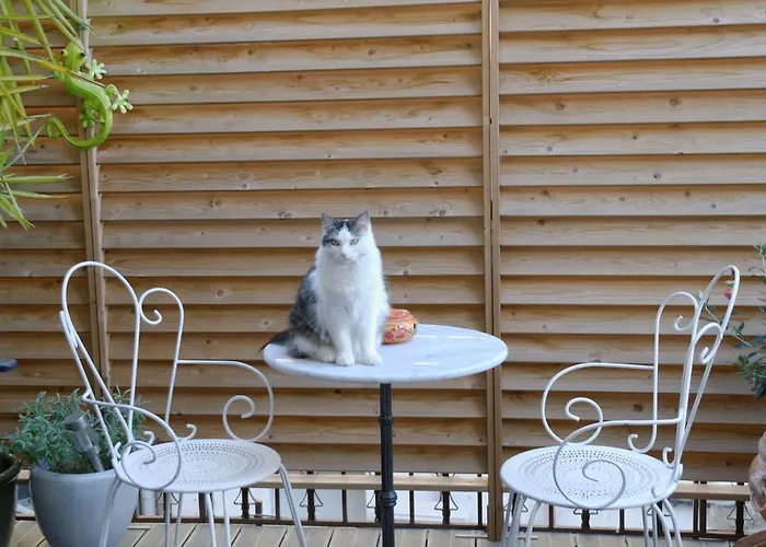 Ξενοδοχείο Du Commerce Pont-Saint-Esprit